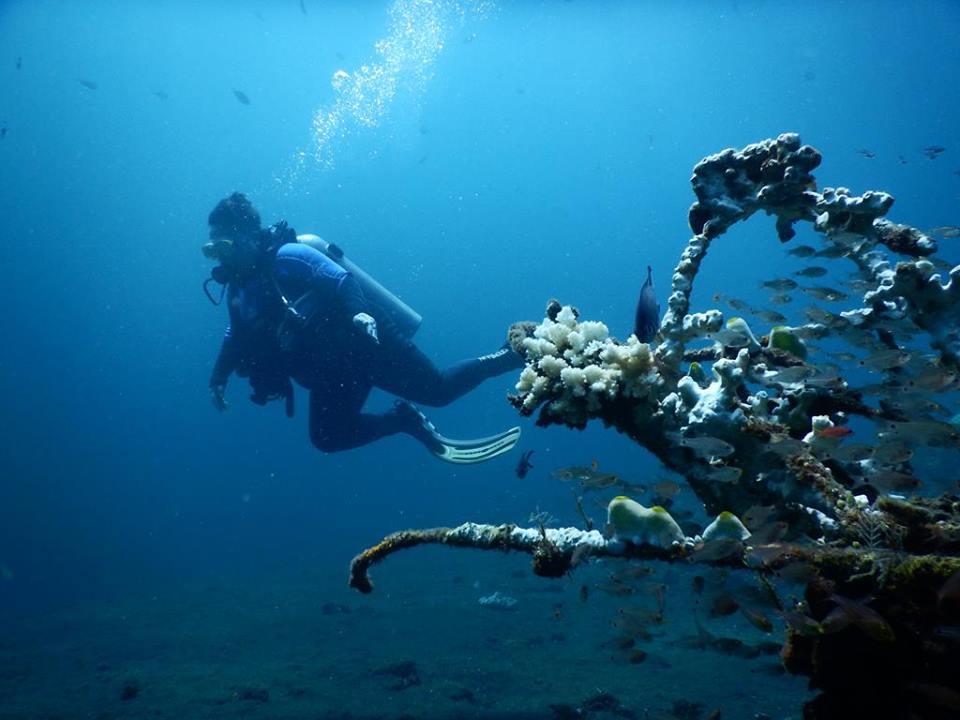 AquaMarine Diving