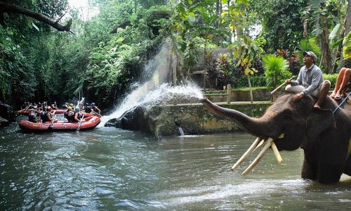 Bakas Adventure Elephant Safari and Rafting